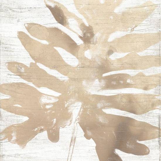 PHOTOWALL / Neutral Palm Fossil III (e327527)