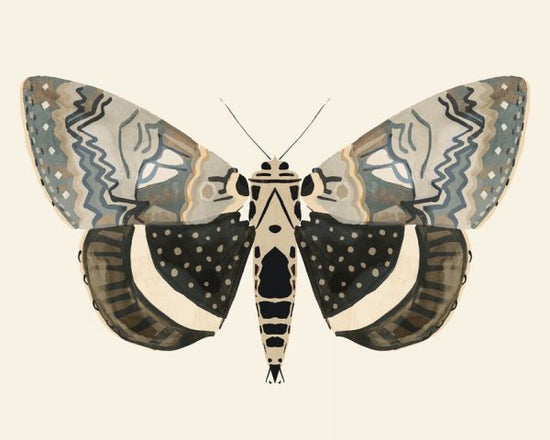 PHOTOWALL / Neutral Moth (e327552)