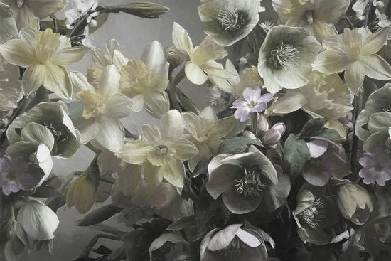 PHOTOWALL / Narcisus (e330286)