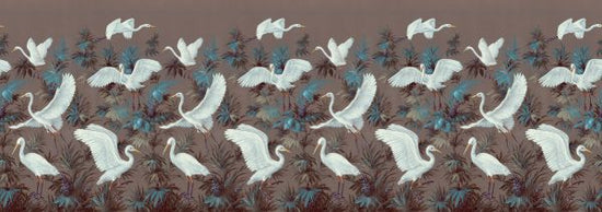 PHOTOWALL / Swan Stroll (e330301)