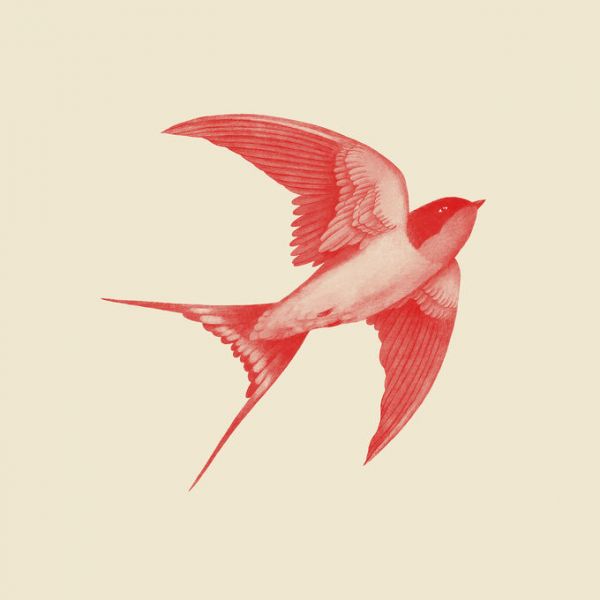 PHOTOWALL / Barn Swallow Red (e330734)