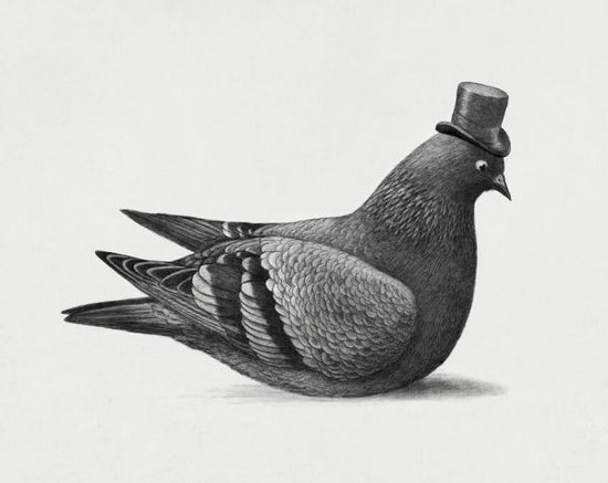 PHOTOWALL / Dapper Pigeon (e330750)