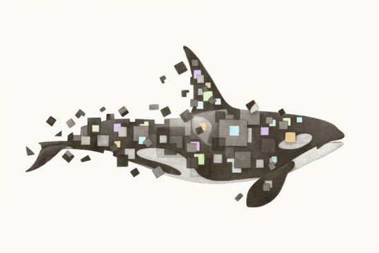 PHOTOWALL / Fractured Killer Whale (e330763)