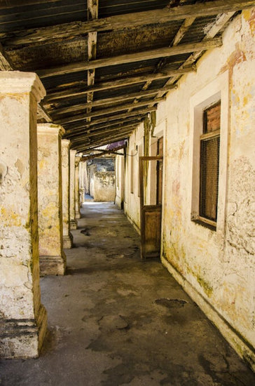 PHOTOWALL / House Pillars (e331467)