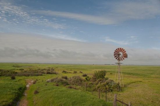 PHOTOWALL / Steppe with Windmill (e331478)