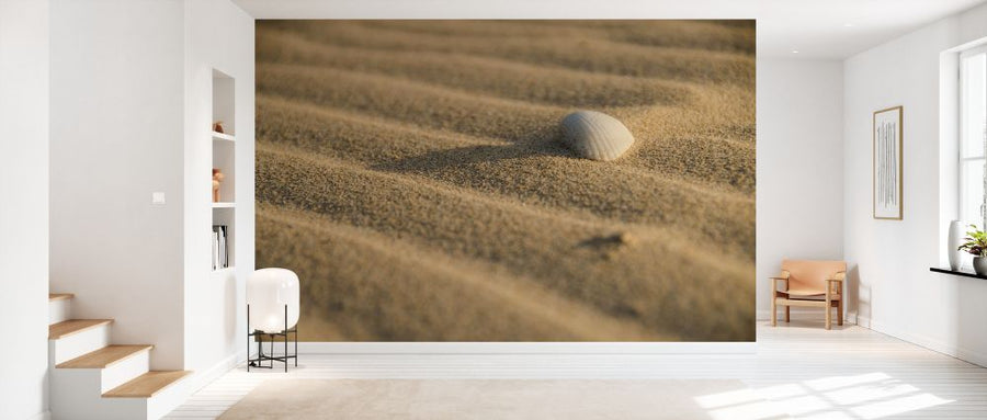 PHOTOWALL / Sand and Shell (e331479)