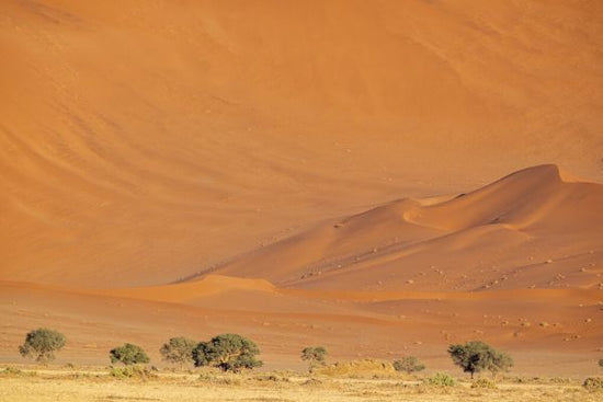 PHOTOWALL / Erg Desert II (e331487)