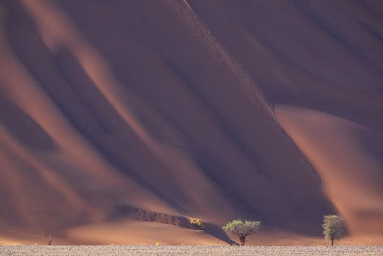 PHOTOWALL / Mountain Desert (e331489)