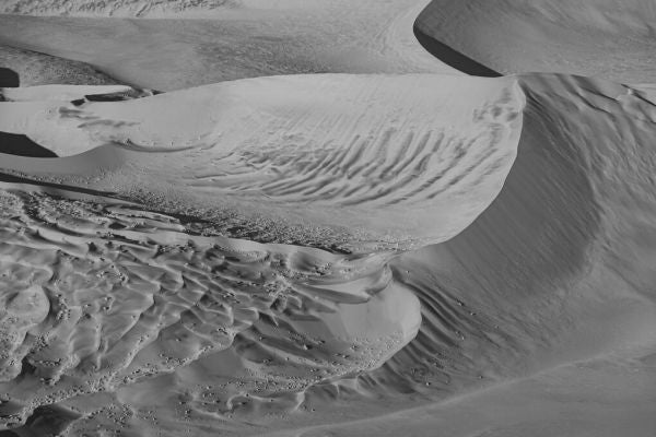 PHOTOWALL / Sandy Desert - BW (e331491)
