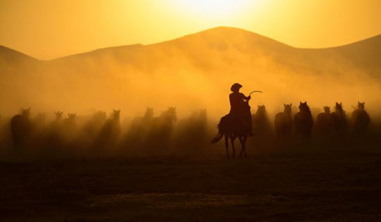 PHOTOWALL / Chasing the Jades (e331176)