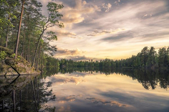 PHOTOWALL / Lake Tarmsjön Sweden (e331191)