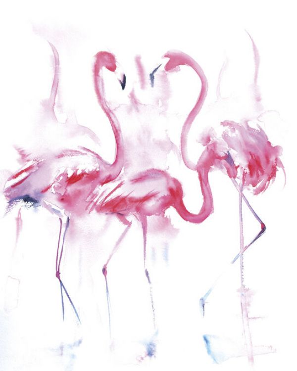 PHOTOWALL / Flamingo Trio (e330938)