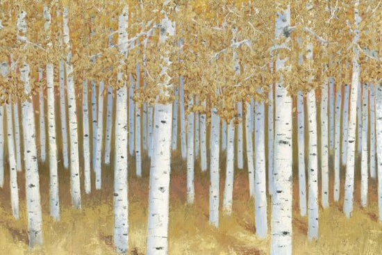 PHOTOWALL / Forest of Gold (e330977)