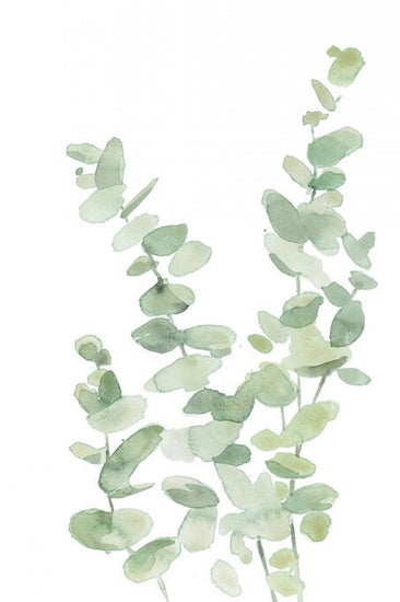 PHOTOWALL / Eucalyptus II (e330990)