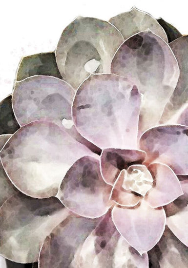 PHOTOWALL / Succulent Close-up (e331646)