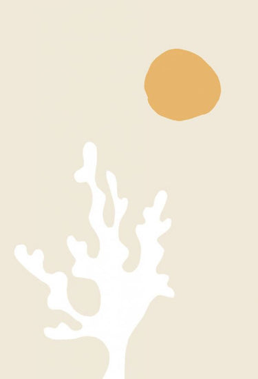 PHOTOWALL / Seaweed in the Sun (e331651)