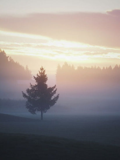 PHOTOWALL / Morning Layers (e332931)