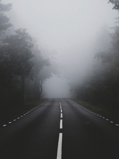 PHOTOWALL / November Road (e332932)