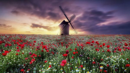 PHOTOWALL / Spring by the Windmill (e331975)