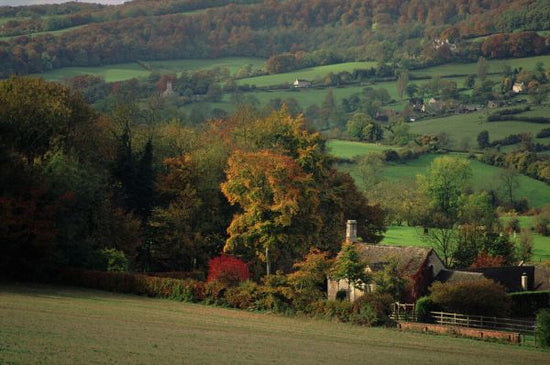 PHOTOWALL / Painswick Village in Autumn (e331986)