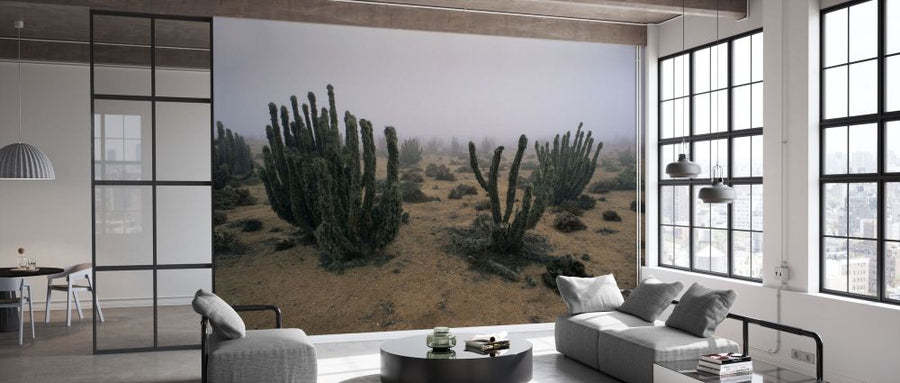 PHOTOWALL / Cacti in Coastal Fog (e331991)