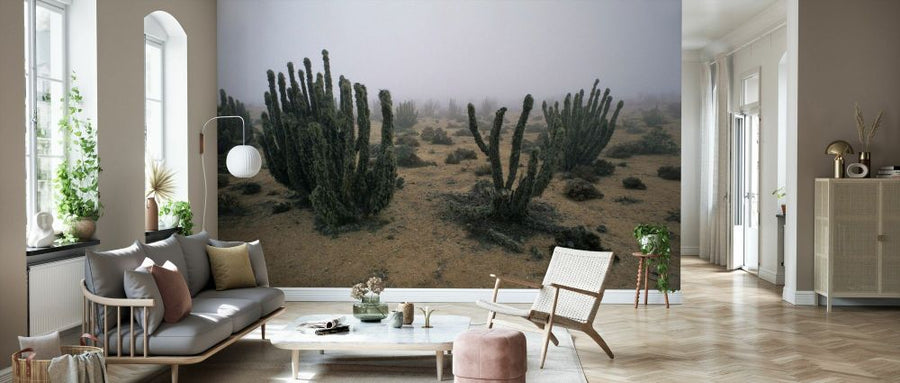 PHOTOWALL / Cacti in Coastal Fog (e331991)