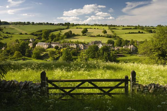 PHOTOWALL / Gate Into Field (e332001)