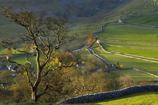 PHOTOWALL / Autumn Colours at Arncliffe (e332003)