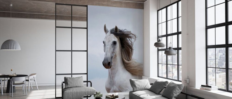 PHOTOWALL / Grey Andalusian Stallion (e332060)