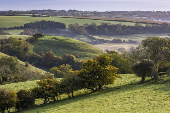 PHOTOWALL / Autumn View Towards St Catherines Valley (e332105)