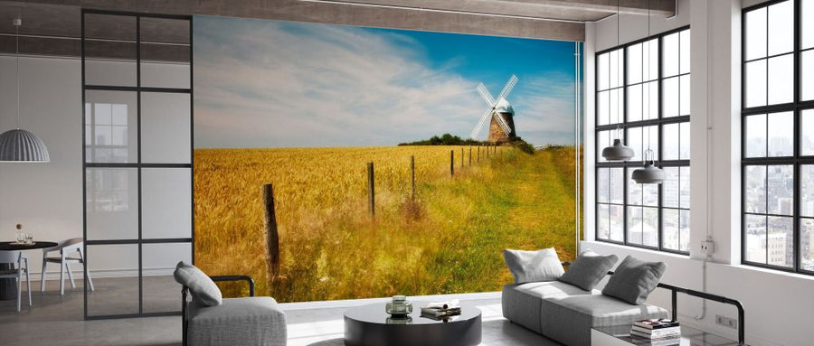 PHOTOWALL / Field of Wheat with Halnaker Windmill (e331914)