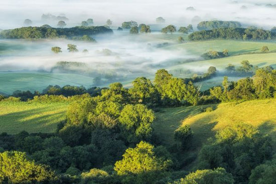 PHOTOWALL / Marshwood Vale in Morning Mist (e331928)