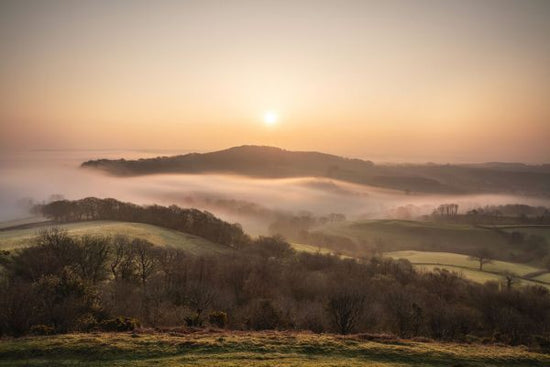 PHOTOWALL / Sunrise Over Lewesdon Hill (e331938)