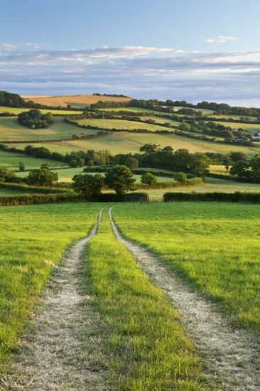 PHOTOWALL / Tracks Through Farmland (e331941)