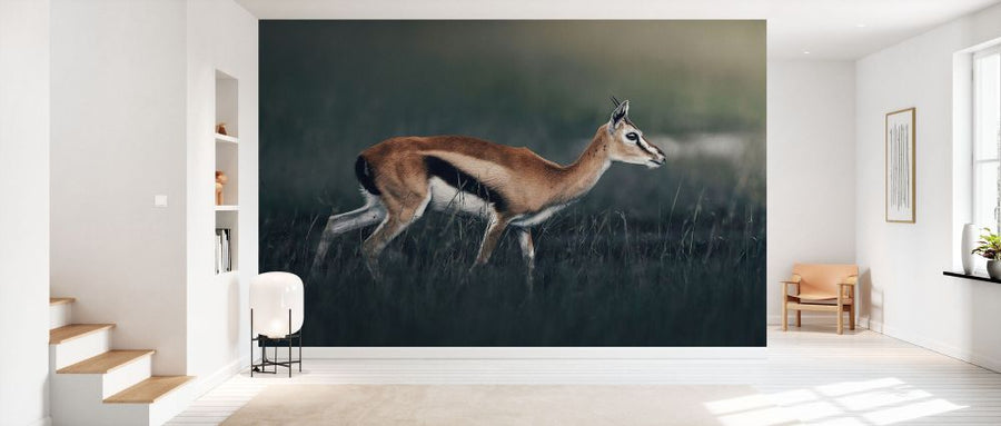 PHOTOWALL / White Tailed Deer (e332199)