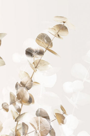 PHOTOWALL / Eucalyptus Creative Gold II (e332371)