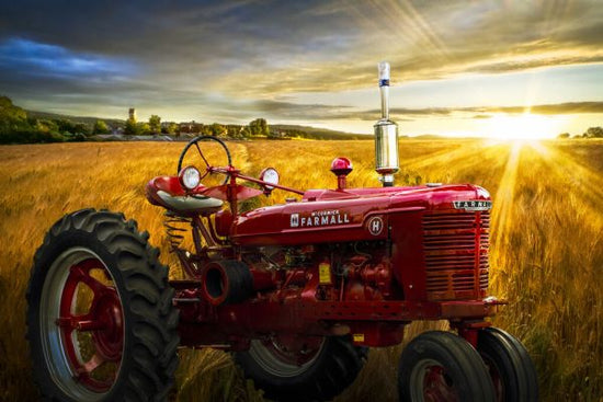 PHOTOWALL / Red Tractor in Sunset Gold (e332509)