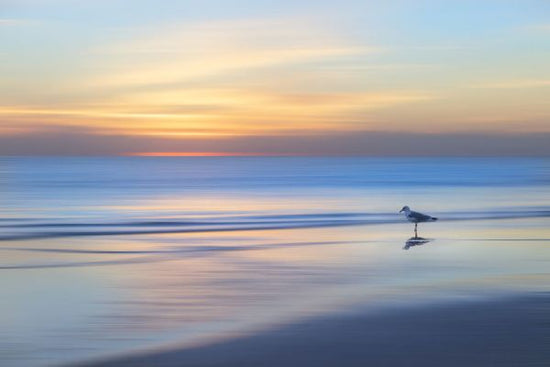 PHOTOWALL / Dreamy Dawn Walk (e332515)