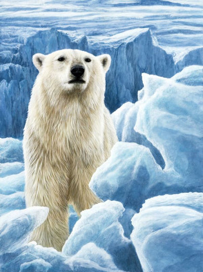 PHOTOWALL / Ice Bear Polar Bear (e332572)