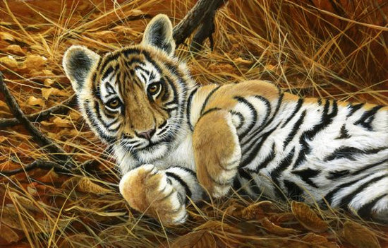 PHOTOWALL / Tiger Cub (e332575)