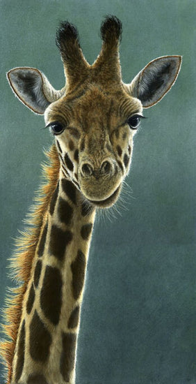 PHOTOWALL / Giraffe Beauty (e332577)