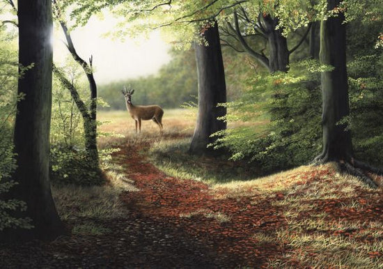 PHOTOWALL / Roe Deer (e332600)