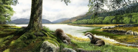 PHOTOWALL / Otters (e332596)