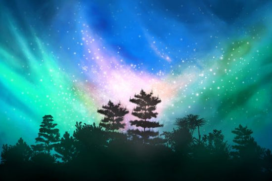 PHOTOWALL / Northern Lights (e333023)