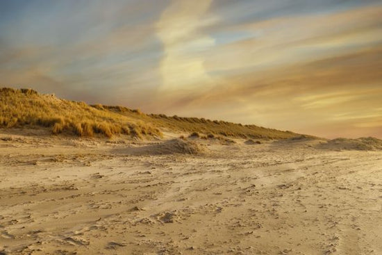 PHOTOWALL / Beach and Dunes (e333196)