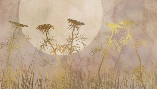 PHOTOWALL / Moonlight Flowers (e333211)