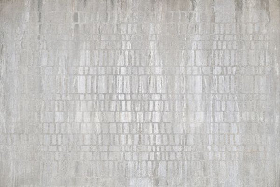 PHOTOWALL / Urban Archeology Grid Silver (e333231)
