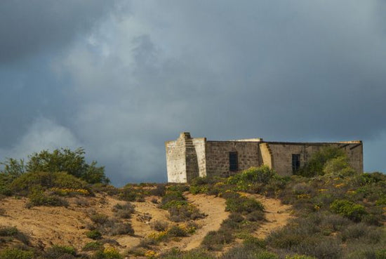 PHOTOWALL / Abandoned Farm Shed (e333780)