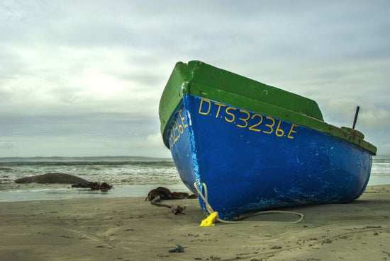 PHOTOWALL / Painted Fishing Boats (e333790)