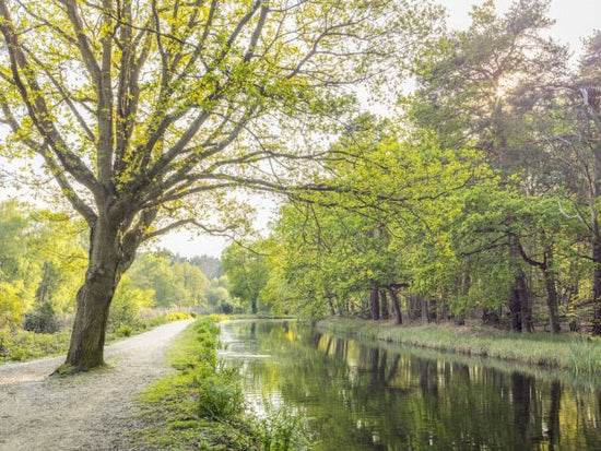 PHOTOWALL / Canal on a Spring Day (e333946)